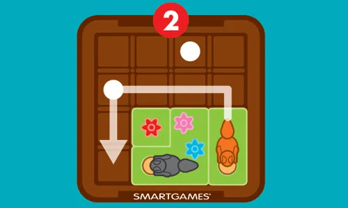 סנאים ואגוזים פוקסמיינד Foxmind 2 | משחק חשיבה לילדים | משחקי חשיבה לילדים | להיט צעצועים