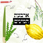 ארבעת המינים | להיט צעצועים