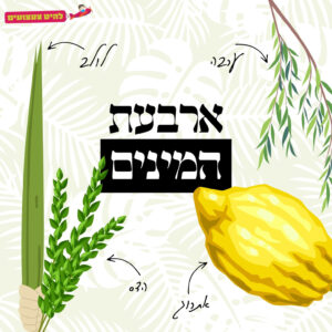 ארבעת המינים | להיט צעצועים