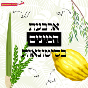 סיטונאות ארבעת המינים | להיט צעצועים