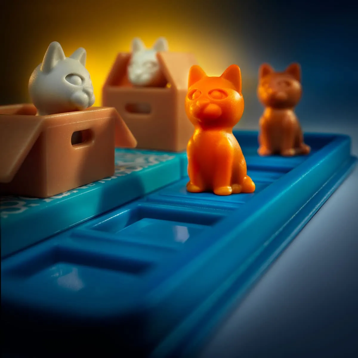 חתולים וקופסאות פוקסמיינד FoxMind 1 | להיט צעצועים